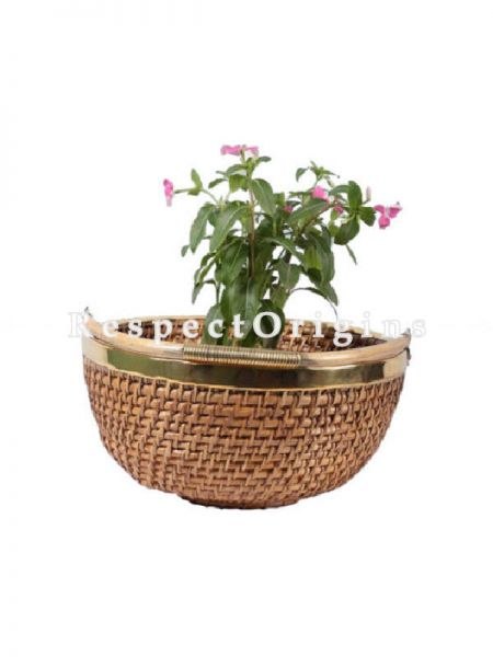 Buy Ecofriendly Hand Braided Round Rattan Cane Planter & Brass Trim and Handle; u602075863_New_db.com
