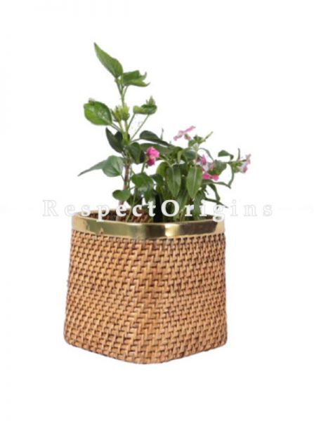 Buy Ecofriendly Hand Braided Cubical Rattan Cane Planter with Brass Trimin 10x10 inches; u602075863_New_db.com