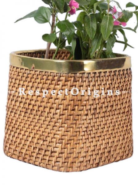 Buy Ecofriendly Hand Braided Cubical Rattan Cane Planter with Brass Trimin 10x10 inches; u602075863_New_db.com