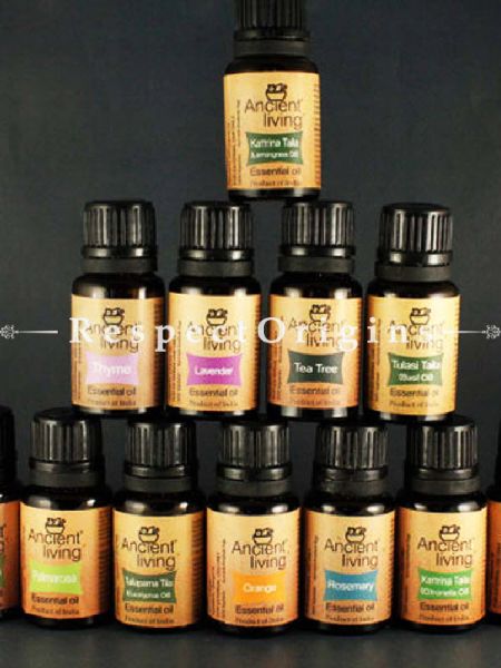 Essential Oils Set; 12(10Ml Bottles) at u602075863_New_db. com