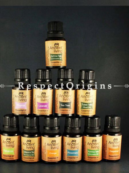 Essential Oils Set; 12(10Ml Bottles) at u602075863_New_db. com
