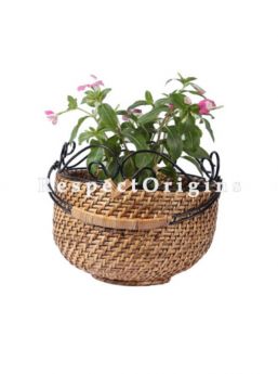 Buy Medium Hand Braided Round Rattan Cane Planter; com